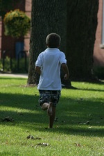 Enlarge photo 77