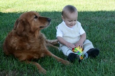 Enlarge photo 51