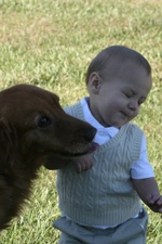 Enlarge photo 38