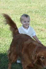 Enlarge photo 33