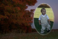 Enlarge photo 4