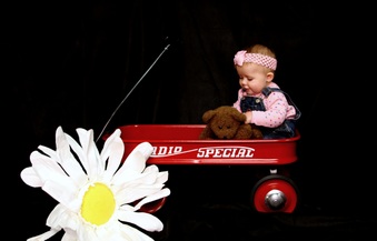 Enlarge photo 218