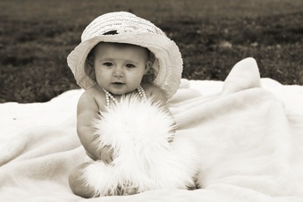 Enlarge photo 312