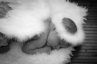 Enlarge photo 87