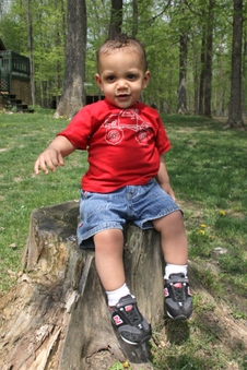 Enlarge photo 23