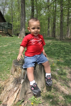 Enlarge photo 24