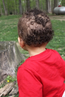 Enlarge photo 38