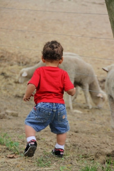 Enlarge photo 14