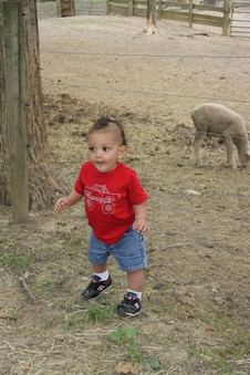 Enlarge photo 5