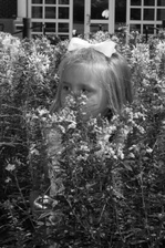 Enlarge photo 159