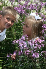 Enlarge photo 198