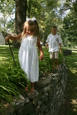 Enlarge photo 82