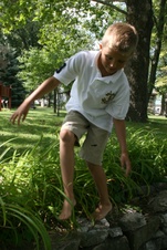 Enlarge photo 81