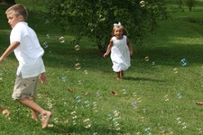 Enlarge photo 59