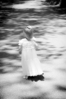 Enlarge photo 64