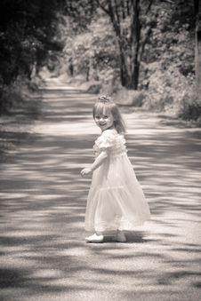 Enlarge photo 67