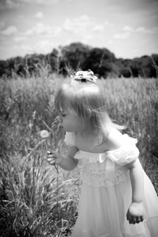 Enlarge photo 127