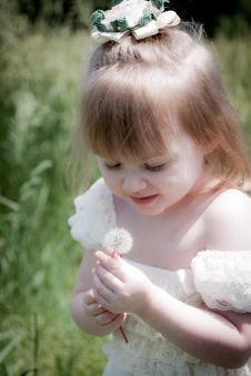 Enlarge photo 130