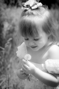 Enlarge photo 131
