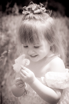 Enlarge photo 133