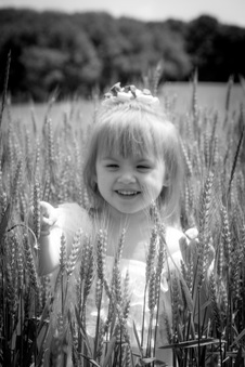 Enlarge photo 152