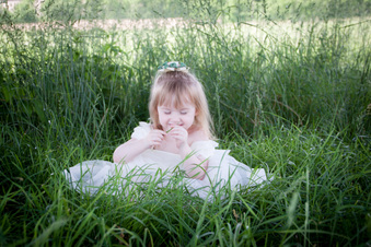 Enlarge photo 169