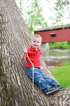 Enlarge photo 14