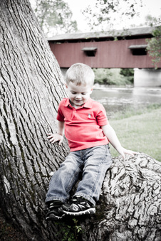 Enlarge photo 21
