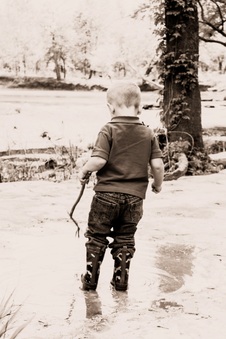 Enlarge photo 74