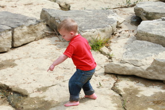Enlarge photo 127