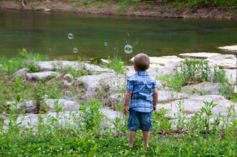 Enlarge photo 203