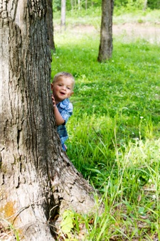 Enlarge photo 204