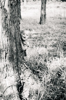 Enlarge photo 205