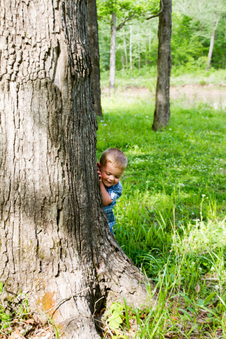 Enlarge photo 206