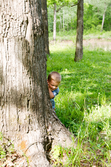 Enlarge photo 208