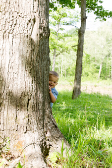 Enlarge photo 210