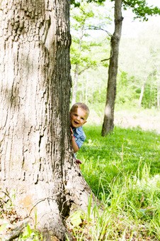 Enlarge photo 211