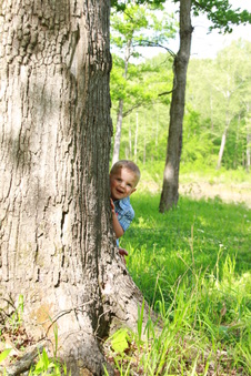 Enlarge photo 213