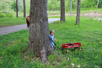 Enlarge photo 229