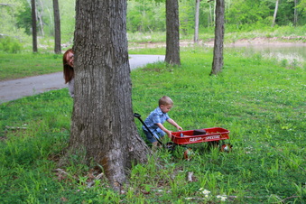 Enlarge photo 230