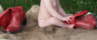 Enlarge photo 52