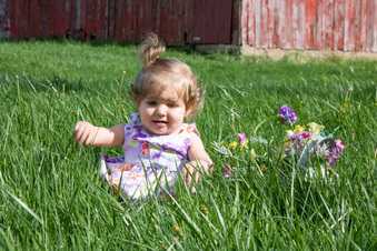 Enlarge photo 15