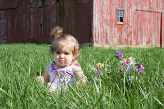 Enlarge photo 17