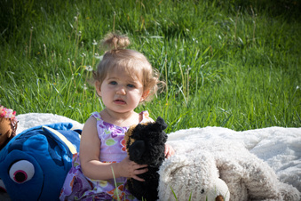 Enlarge photo 30