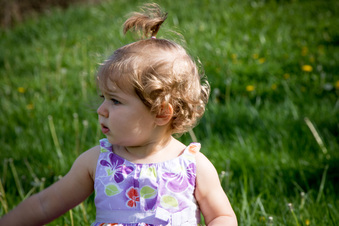 Enlarge photo 58