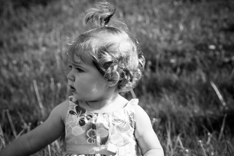 Enlarge photo 59