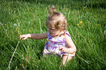 Enlarge photo 64