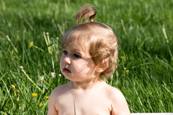 Enlarge photo 105