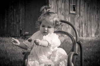 Enlarge photo 121