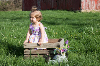Enlarge photo 157
